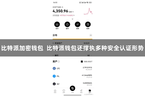 比特派加密钱包 比特派钱包还撑执多种安全认证形势