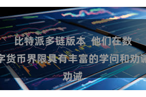 比特派多链版本 他们在数字货币界限具有丰富的学问和劝诫