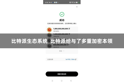 比特派生态系统  比特派给与了多重加密本领