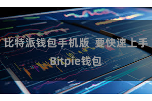 比特派钱包手机版  要快速上手Bitpie钱包