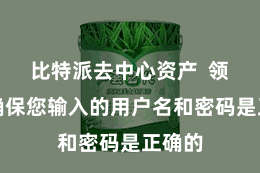 比特派去中心资产  领先要确保您输入的用户名和密码是正确的