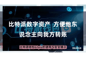 比特派数字资产  方便他东说念主向我方转账