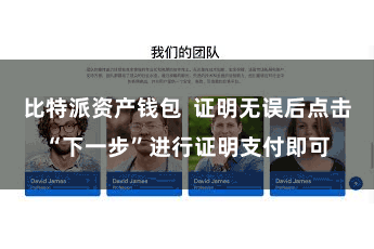 比特派资产钱包  证明无误后点击“下一步”进行证明支付即可