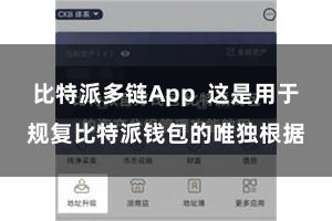 比特派多链App  这是用于规复比特派钱包的唯独根据