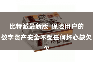 比特派最新版  保险用户的数字资产安全不受任何坏心缺欠