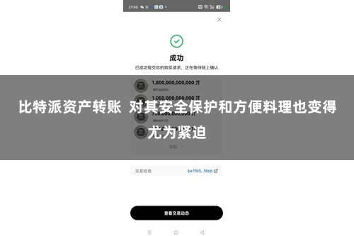 比特派资产转账  对其安全保护和方便料理也变得尤为紧迫