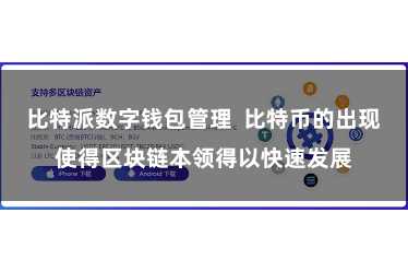 比特派数字钱包管理  比特币的出现使得区块链本领得以快速发展