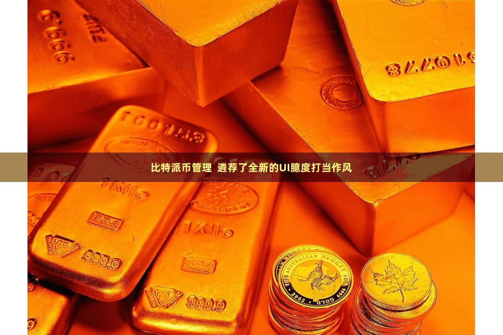 比特派币管理  遴荐了全新的UI臆度打当作风