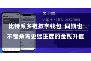 比特派多链数字钱包  同期也不错杀青更猛进度的金钱升值