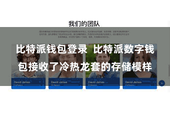 比特派钱包登录  比特派数字钱包接收了冷热龙套的存储模样