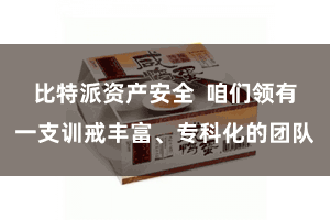 比特派资产安全  咱们领有一支训戒丰富、专科化的团队